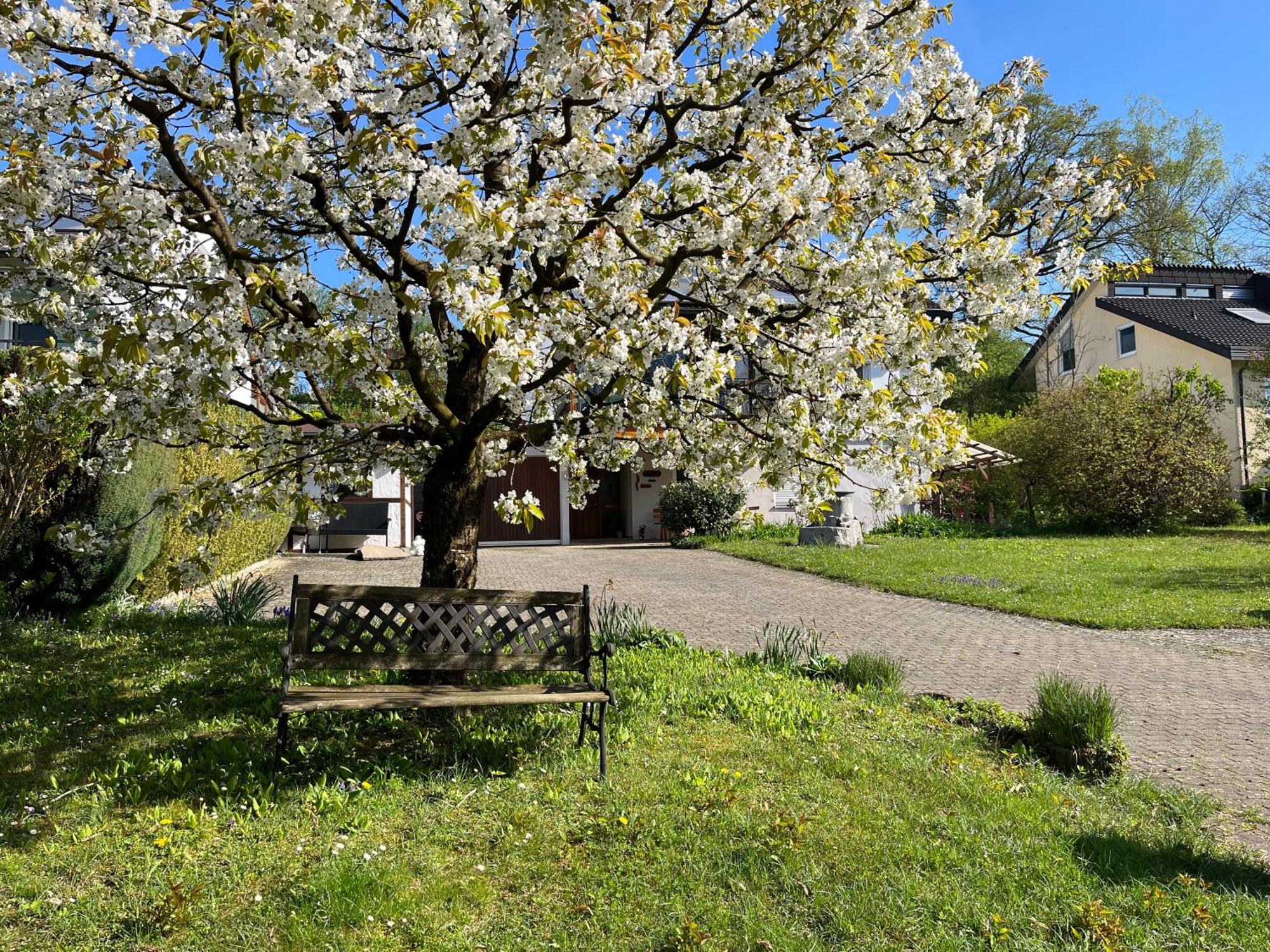 Ferienwohnung Am Kirschbaum อูลดิงเงน มึลโฮเฟิน ภายนอก รูปภาพ